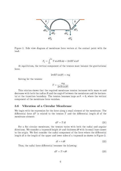File:WillLivesay Honors thesis2025.pdf